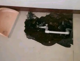 青阳卫生间测漏水多少钱